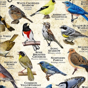 Songbirds of New Jersey Poster Print Field Guide - Etsy
