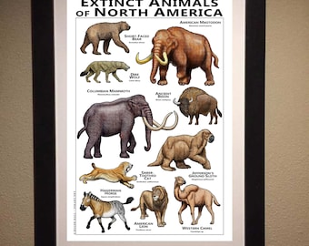 北アメリカの絶滅動物のポスター - アーティストのサイン入り