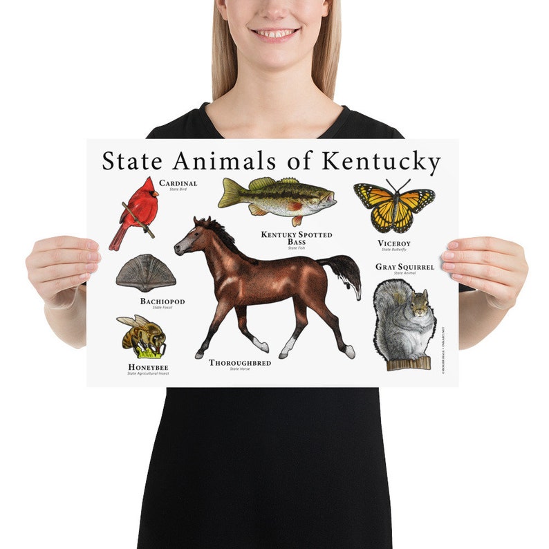 Kentucky State Animals Poster Print - Etsy
