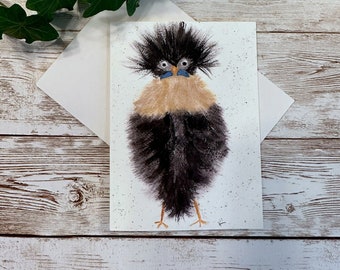 Bad Hair Day Whimsical Bird Note Cards, Set of 3, Watercolor Birds, Fun and Quirky Note Cards, Bird Lovers, Gift Card Holders, Fun Greeting