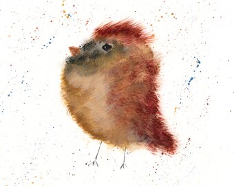 Sassy Female Cardinal, Giclee Print, Watercolor Whimsical Bird Print, Wildlife Print, Bird Lovers