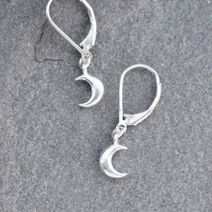 May include: A pair of silver crescent moon earrings with leverback closures.