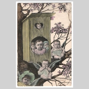 Carte postale ancienne plusieurs bébés - lithographie surréalisme enfants nichoir ailes anges chérubins arbre - carte de voeux édouardienne vintage 1903