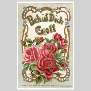 Antica cartolina in stile Art Nouveau con rose - Fiori di rose rosse e rosa - Biglietto d'auguri illustrato in rilievo dorato tedesco del 1909