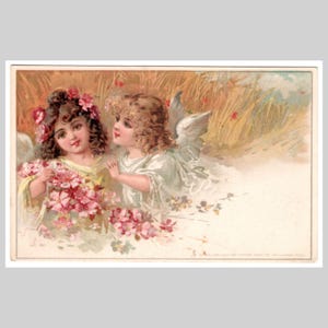 RARE carte postale de fée Tuck - Saisons d'été au pays des fées série 887 - Ancienne carte de voeux illustrée non utilisée 1904