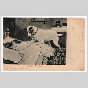 Cartolina d'epoca raffigurante un cane - Cane che sveglia una ragazza addormentata dipinta - Antica cartolina d'auguri litografica olandese del 1902