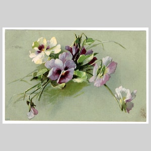 Antieke ansichtkaart viooltjes - Victoriaanse bloemen bloemenlitho - Vintage Duitse geïllustreerde wenskaart 1903