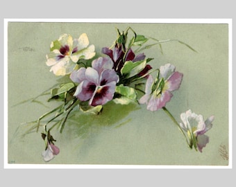 Cartão postal antigo com amores-perfeitos - Litografia floral de flores vitorianas - Cartão de felicitações ilustrado alemão vintage de 1903