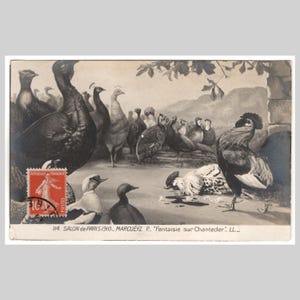 Cartolina d'epoca con gallo - Pollo antropomorfo, anatra, pavone, pollo, Chanticleer - Antica cartolina d'auguri edoardiana francese del 1910 circa
