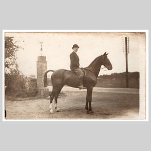 Horse photo rppc - Man rides horse - Antique French private real photo postcard ca 1915
