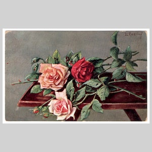 Antica cartolina con rose - Dipinto di fiori di rose rosse e rosa - Antica cartolina d'auguri illustrata tedesca edoardiana del 1905 circa