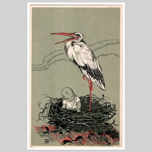 Carte postale illustrée vintage en relief - Lithographie bébé cigogne dans son nid - Carte de voeux édouardienne antique 1903