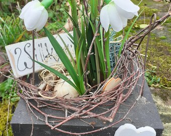 Florero caja-nieve