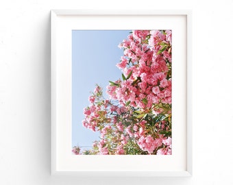 Pink Bougainvillea Print