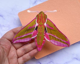 Elephant Hawk Moth - Pegatina de vinilo transparente