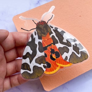 Garden Tiger Moth - Transparent Vinyl Sticker