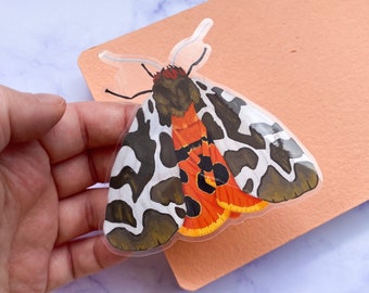 Garden Tiger Moth - Pegatina de vinilo transparente