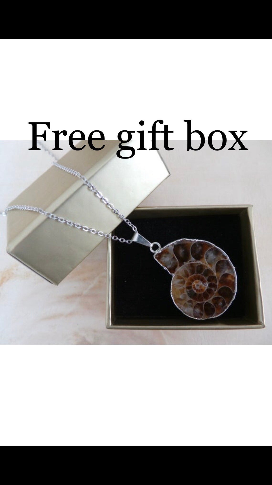 Ammonite Fossil Necklace Nautilus Fossil Spiral Fossil Gift Etsy