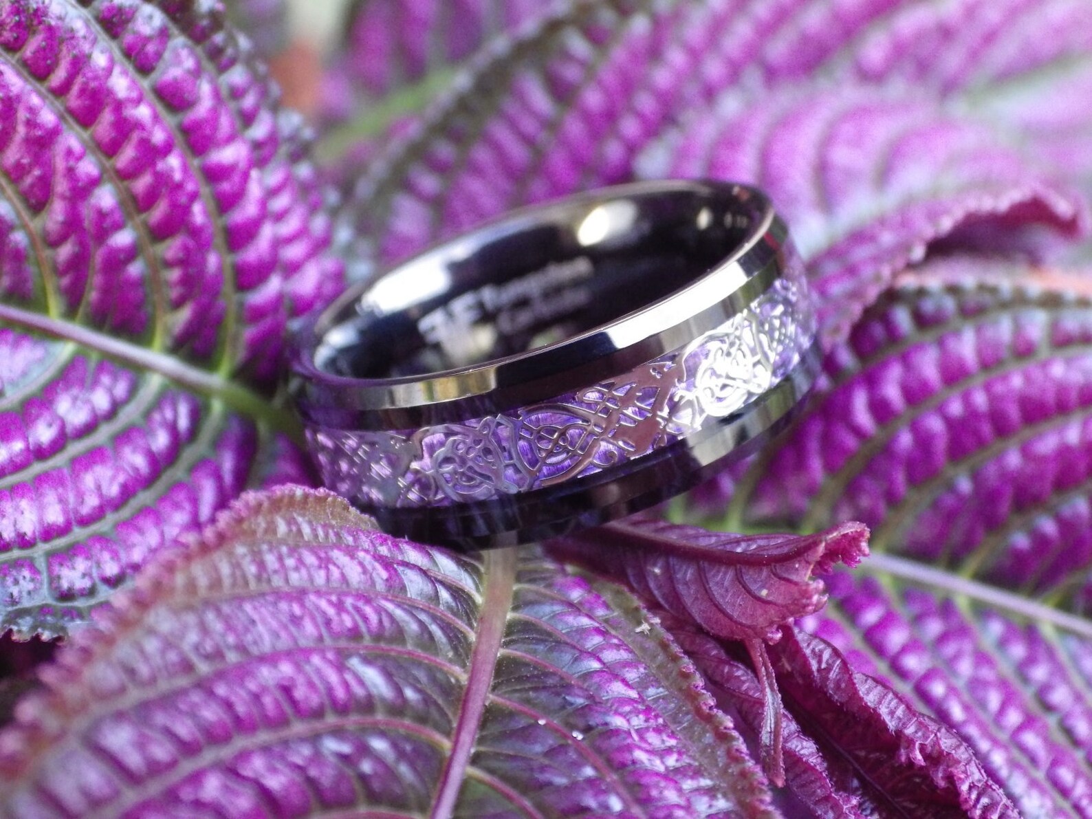 Black Tungsten Purple Celtic Dragon Ring 8mm Womens Mens Etsy