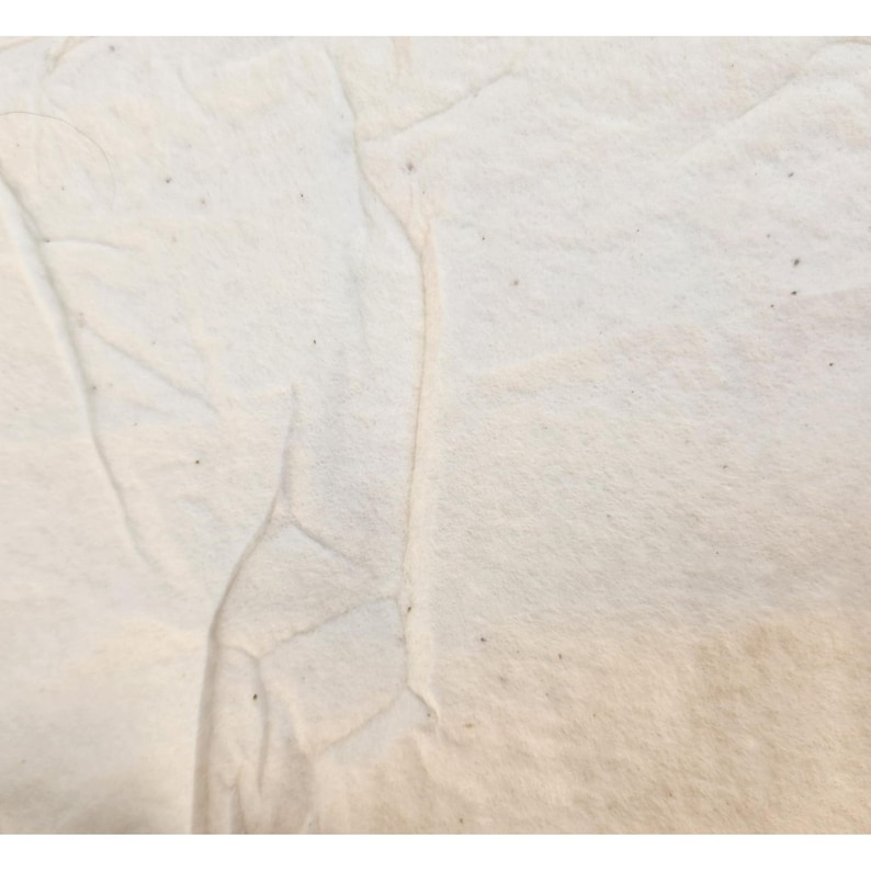 K&ouml;nnte beinhalten: Nahaufnahme eines strukturierten, cremefarbenen Stoffes mit sichtbaren Falten und subtilen Farbvariationen. Das Material wirkt weich und m&ouml;glicherweise nat&uuml;rlich, mit kleinen dunklen Punkten. Die Beleuchtung erzeugt sanfte Schatten, die die Textur des Stoffes hervorheben.