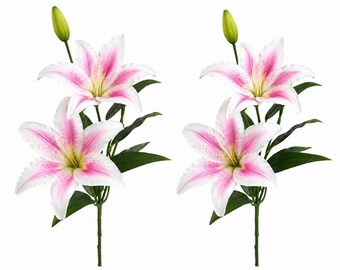 Könnte beinhalten: Zwei künstliche Lilienstängel, jeder mit einer voll erblühten Blüte mit weißen Blütenblättern und rosa Mitte, einer kleineren, teilweise geöffneten Knospe und mehreren dunkelgrünen Blättern an einem dünnen grünen Stiel, vor weißem Hintergrund.