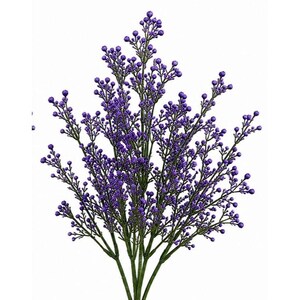 Puede incluir: Un ramo decorativo con numerosos capullos peque&ntilde;os, redondos y de color morado vibrante unidos a tallos verdes delgados y ramificados. La estructura de la planta es erguida y sim&eacute;trica, con los capullos morados agrupados en las puntas.