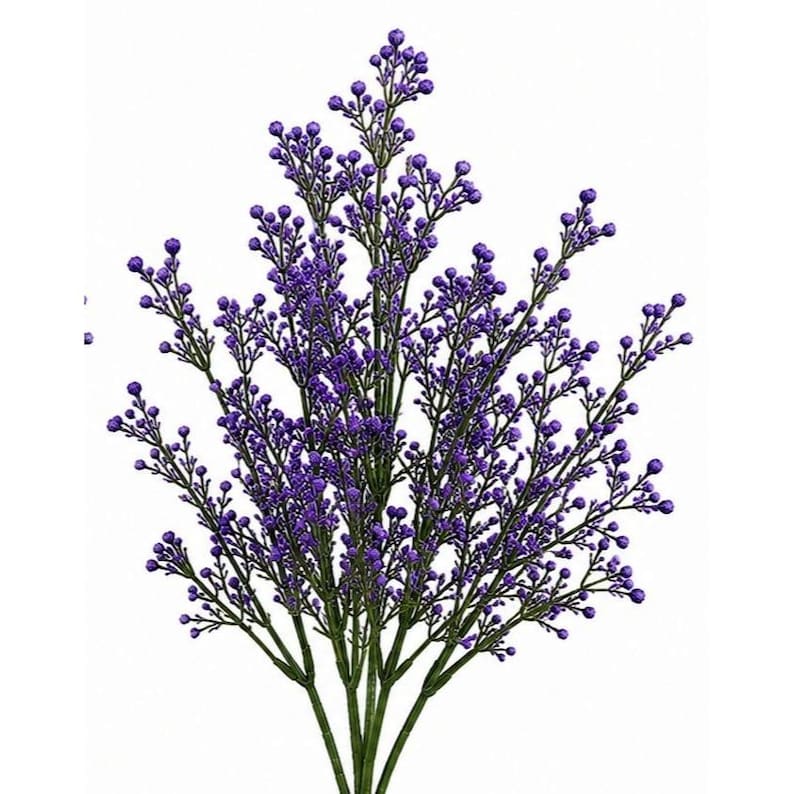 Puede incluir: Un ramo decorativo con numerosos capullos peque&ntilde;os, redondos y de color morado vibrante unidos a tallos verdes delgados y ramificados. La estructura de la planta es erguida y sim&eacute;trica, con los capullos morados agrupados en las puntas.
