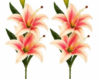 Könnte beinhalten: Zwei künstliche Lilienstiele, jeder mit zwei offenen Blüten mit cremefarbenen und rosafarbenen Blütenblättern, die mit dunkelrosa Punkten gesprenkelt sind, einer grünen Knospe an der Spitze und mehreren dunkelgrünen Blättern an einem dünnen, geraden grünen Stiel.