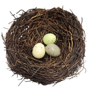 May include: A rustic, brown twig nest holds three speckled eggs. One egg is pale green, another is off-white, and the third is gray. The nest is circular and made of interwoven twigs, creating a natural, decorative element.