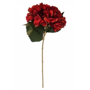May include: A single stem of a red hydrangea flower with green leaves. The flower head is a cluster of small, tightly packed petals. The stem is a light brown color, and the leaves are a deep green.