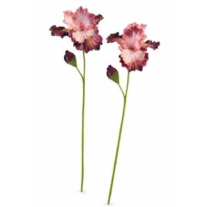 Blush Pink and Plum Purple Real Touch Iris Stems Set of 2 21 Inch Faux Flowers for French Country Cottage Decor