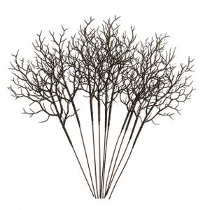 May include: A collection of dark brown artificial branches featuring intricate, twig-like structures that fan out from a central point. Each branch has a smooth, straight stem that transitions into a complex network of thin, pointed, and bare twigs.