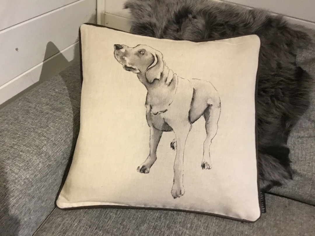 Lindo Weimaraner Perro Funda De Almohada Con Marco De Fotos De Rosa Roja, Funda De Almohada Decorativa De Lino, 45 X 45 Cm