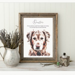 Pet Gift for Him Pet Loss Gifts Personalized Pet Memorial Frame Cat Loss Gift Pet Bereavement Gift Pet Sympathy Gift Pet Loss Frame image 1