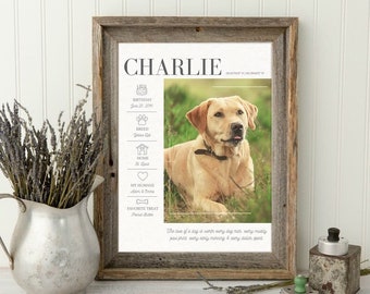 Custom Dog Stats with Photo | Pet Lover Gift for Valentines Day | Personalized Pet Memorial Gift | Pet Mom Gift | Pet Lover Gift for Men