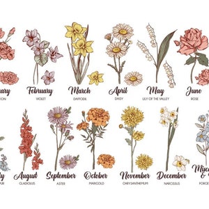 May include: An illustrated guide to birth month flowers. Each month is represented by a different flower, including carnation, violet, daffodil, daisy, lily of the valley, and rose. The text includes the month and flower name.