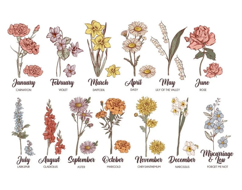 May include: An illustrated guide to birth month flowers. Each month is represented by a different flower, including carnation, violet, daffodil, daisy, lily of the valley, and rose. The text includes the month and flower name.