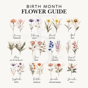 May include: A floral guide featuring watercolor illustrations of birth month flowers. The guide includes flowers for each month, such as carnation, violet, daffodil, daisy, rose, larkspur, and holly. The text "BIRTH MONTH FLOWER GUIDE" is at the top.