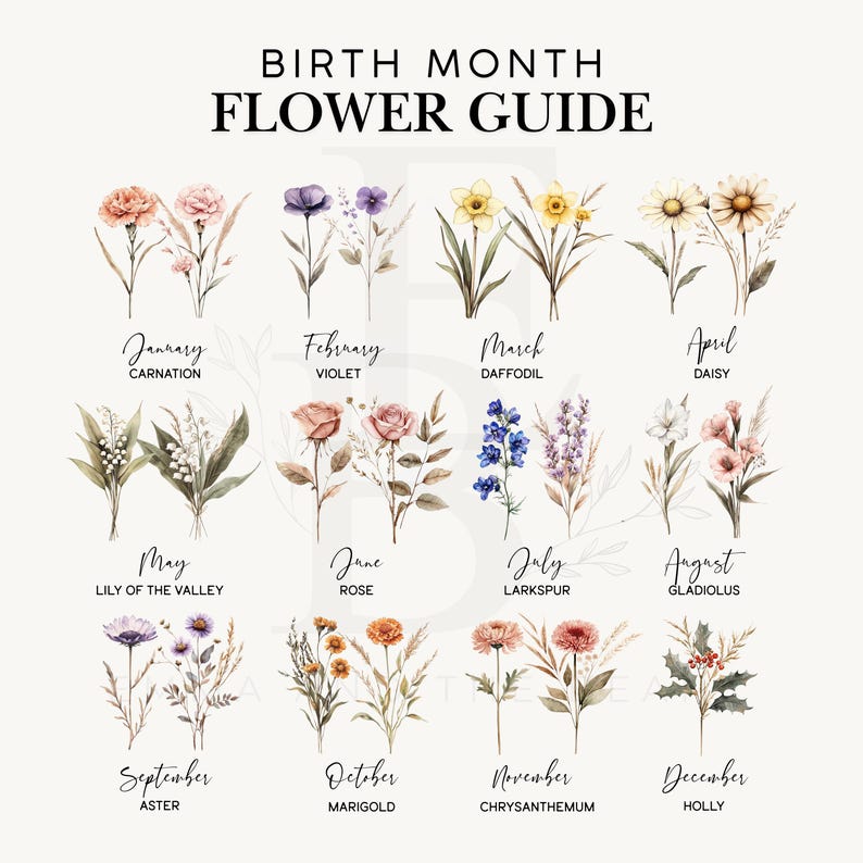 May include: A floral guide featuring watercolor illustrations of birth month flowers. The guide includes flowers for each month, such as carnation, violet, daffodil, daisy, rose, larkspur, and holly. The text "BIRTH MONTH FLOWER GUIDE" is at the top.
