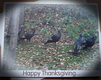 May include: A photograph of a group of wild turkeys in a forest setting. The turkeys have dark feathers and blue and red heads. The ground is covered in fallen leaves and green grass. The words "Happy Thanksgiving..." are printed at the bottom.