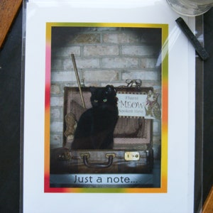 A Collection of Cats - Blank Note Cards - Cat Lover Note Cards - Original Photography - Cute Cat Cards