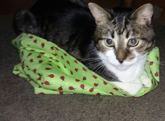 Diy cat 2025 crinkle sack