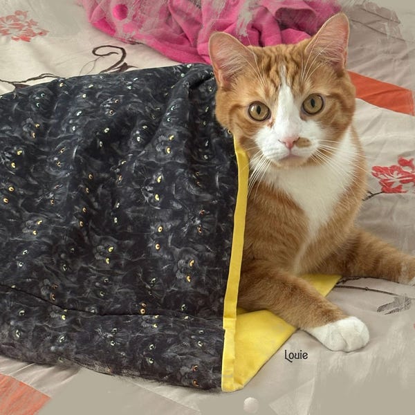 Crinkle Cat Sack, Reversible Cozy Cat Bed