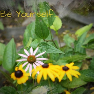 Encouragement and Inspirational Prints - Original Photography