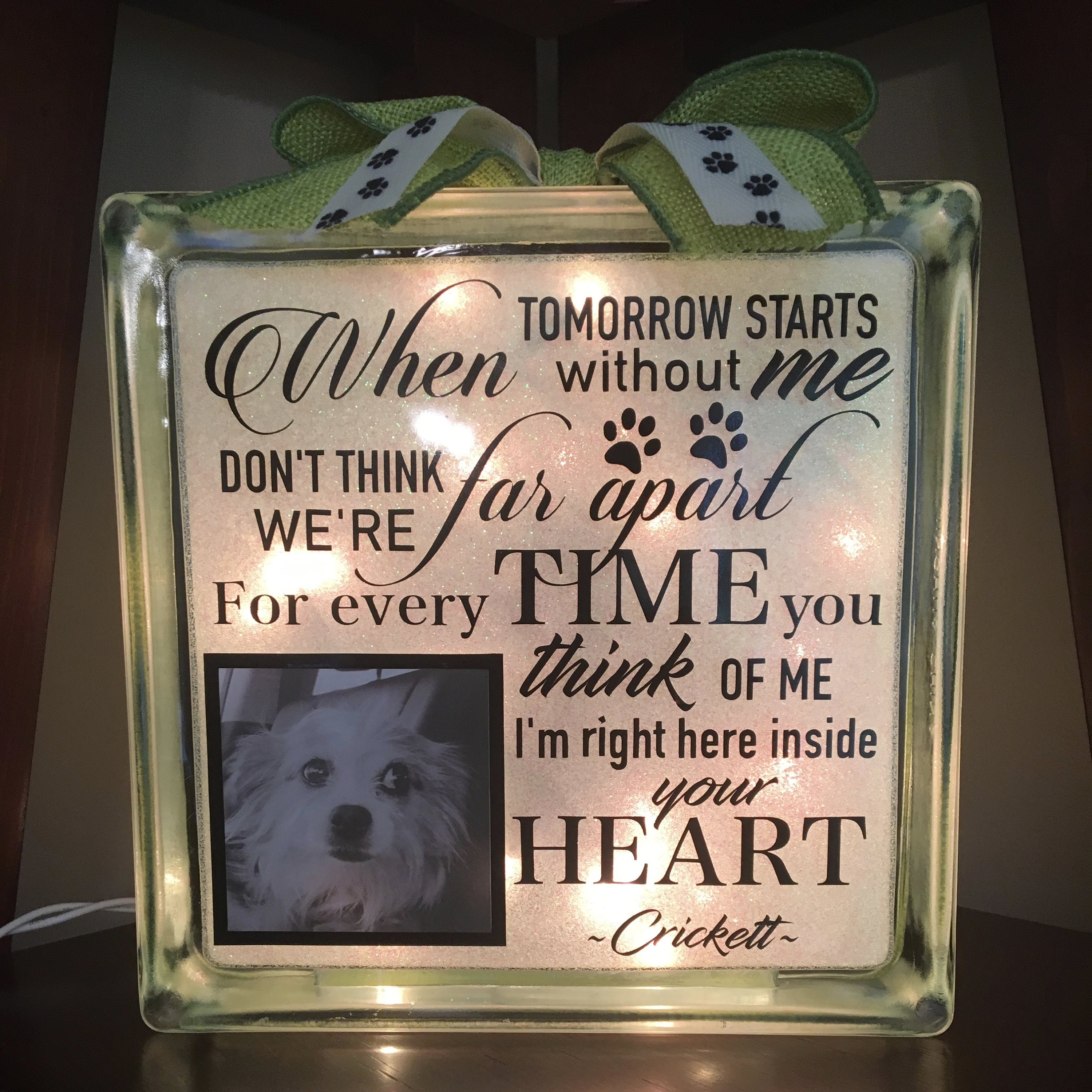 Personalized Pet Memorial Lighted Glass Block MADE TO ORDER Etsy