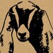 WindrowFarmCreations