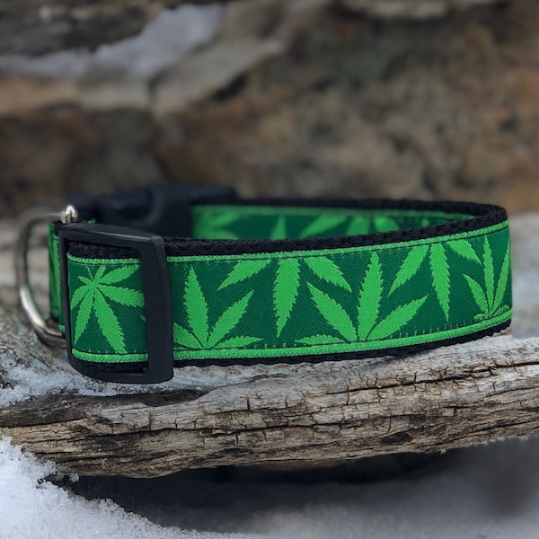 Marijuana Dog Collar - Cannabis Dog Collar - Hemp Dog Collar - Weed Dog Collar - Marijuana Gifts - Mary Jane Dog Collar