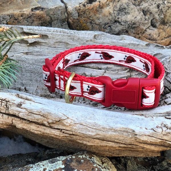 Teacup Dog Collar Etsy