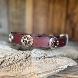 Collare per cani Texas - Texas Longhorn - Collare per cani Texas Star - Collare per cani K9 Ranger - Regali texani - Regali per gli amanti del Texas - Collare per cani Star