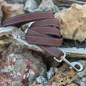 Western Style Dog Leash- Brown and Turquoise Dog Leash - Rustic Dog Leash - Designer Dog Leashes - Turquoise Dog Leash - Dog Leashes